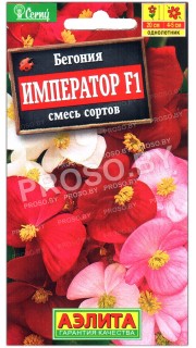 Бегония Император F1, смесь