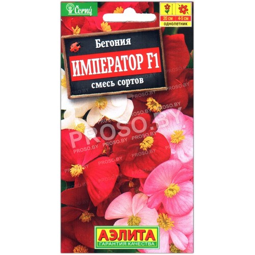 Бегония Император F1, смесь