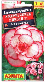 Бегония клубневая Америгибрид пикоти бело-красная F1