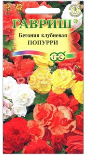 Бегония клубневая Попурри