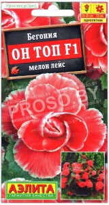 Бегония Он топ мелон лейс F1