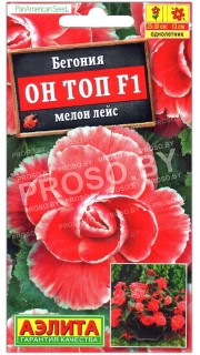 Бегония Он топ мелон лейс F1