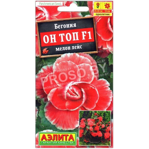 Бегония Он топ мелон лейс F1