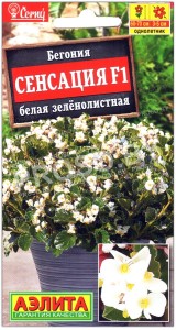 Бегония Сенсация белая зеленолистная F1