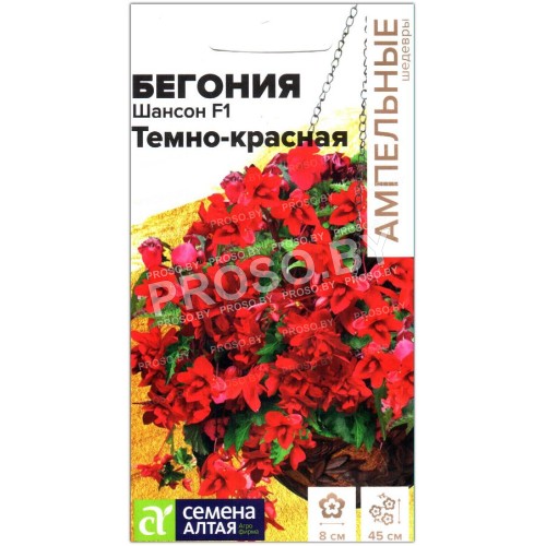 Бегония Шансон темно-красная F1