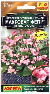 Бегония вечноцветущая Махровая фея нежно-розовая F1