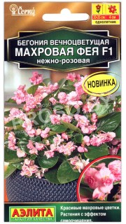 Бегония вечноцветущая Махровая фея нежно-розовая F1