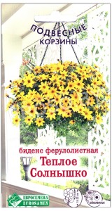 Биденс ферулолистная Теплое солнышко