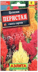 Целозия Перистая, смесь