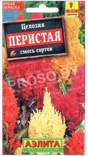 Целозия Перистая, смесь