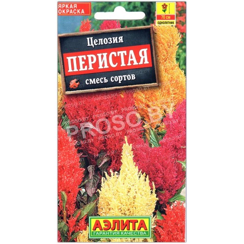 Целозия Перистая, смесь