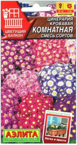 Цинерария кровавая Комнатная, смесь