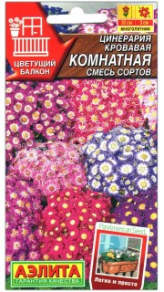 Цинерария кровавая Комнатная, смесь
