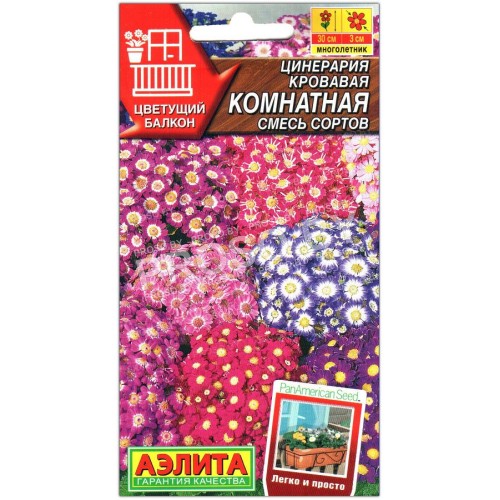Цинерария кровавая Комнатная, смесь