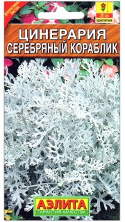 Цинерария Серебряный кораблик