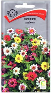 Цинния Арабески