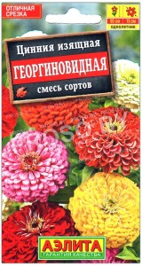 Цинния изящная Георгиновидная, смесь