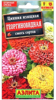 Цинния изящная Георгиновидная, смесь