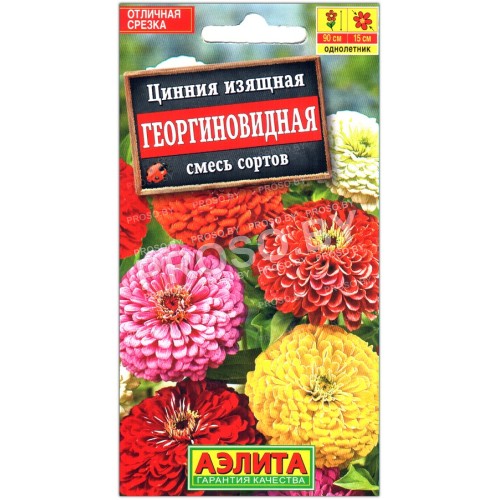 Цинния изящная Георгиновидная, смесь