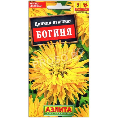 Цинния изящная Богиня