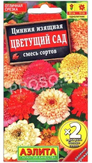 Цинния изящная Цветущий сад, смесь