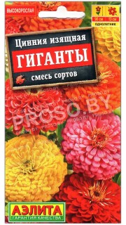 Цинния изящная Гиганты, смесь