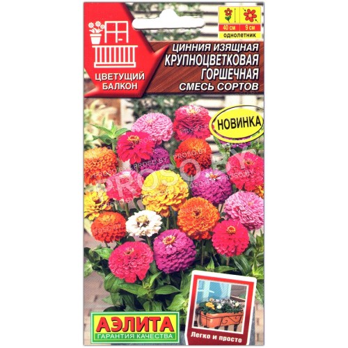 Цинния изящная крупноцветковая Горшечная, смесь