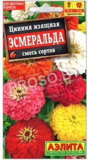 Цинния изящная Эсмеральда, смесь