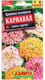 Цинния изящная Карнавал, смесь