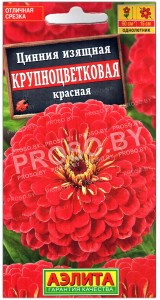 Цинния изящная Крупноцветковая красная