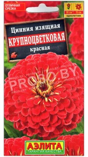 Цинния изящная Крупноцветковая красная