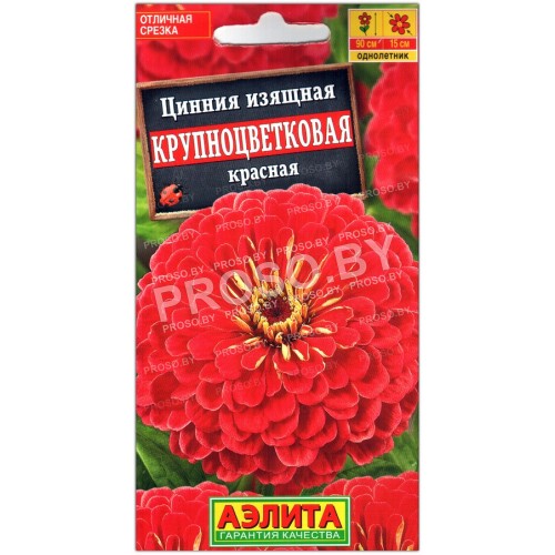 Цинния изящная Крупноцветковая красная