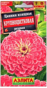 Цинния изящная Крупноцветковая розовая