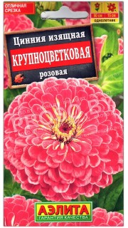 Цинния изящная Крупноцветковая розовая