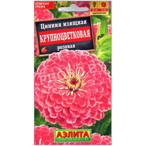 Цинния изящная Крупноцветковая розовая