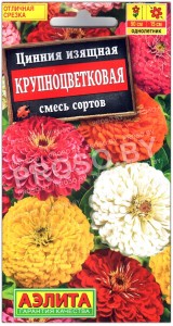 Цинния изящная Крупноцветковая, смесь