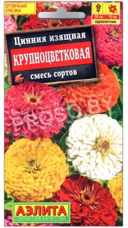 Цинния изящная Крупноцветковая, смесь