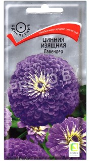 Цинния изящная Лавендер