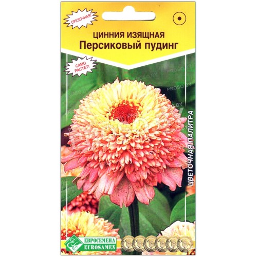 Цинния изящная Персиковый пудинг