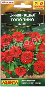 Цинния изящная Тополино алая