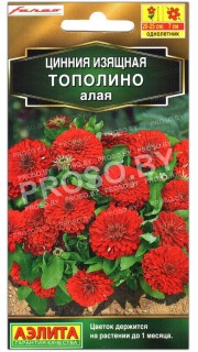Цинния изящная Тополино алая