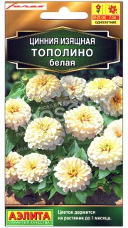 Цинния изящная Тополино белая