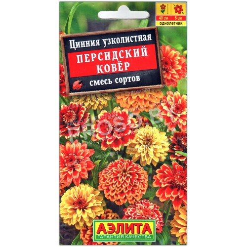 Цинния Персидский ковер, смесь-2