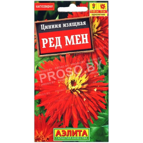 Цинния Ред мен-1