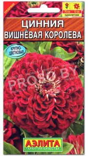 Цинния изящная Вишневая королева