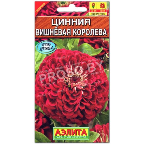 Цинния изящная Вишневая королева