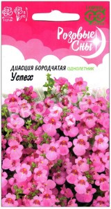Диасция бородчатая Успех