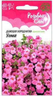 Диасция бородчатая Успех