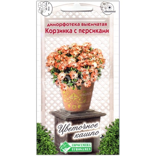 Диморфотека выемчатая Корзинка с персиками
