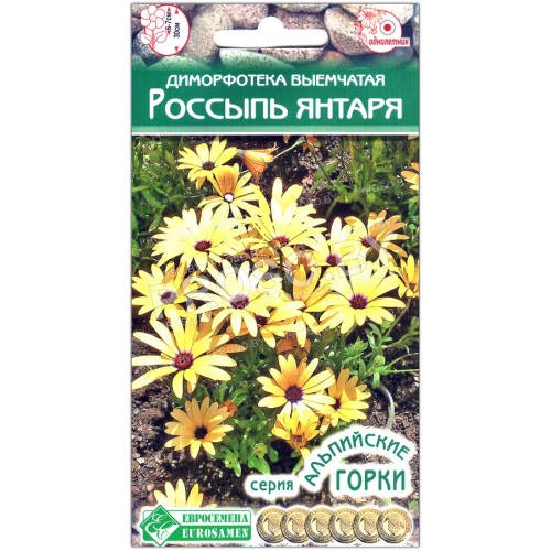 Диморфотека выемчатая Россыпь янтаря